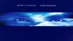 Перевод музыки исполнителя Julio Iglesias композиции — Vincent (Starry Starry Night) с английского