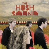Перевод музыки музыканта The Hush Sound трека — Intro с английского